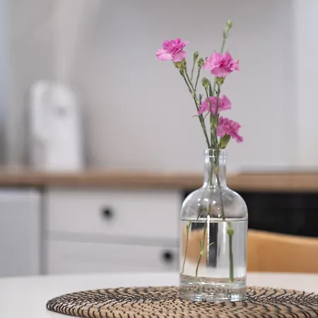 Апартаменты 29 Centrum - Mieszkanie Dla 4 Os *