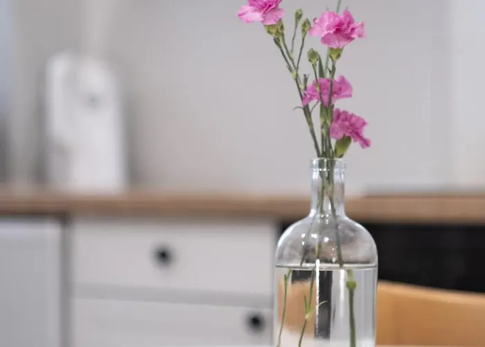 Apartmán 29 Centrum - Mieszkanie Dla 4 Os *